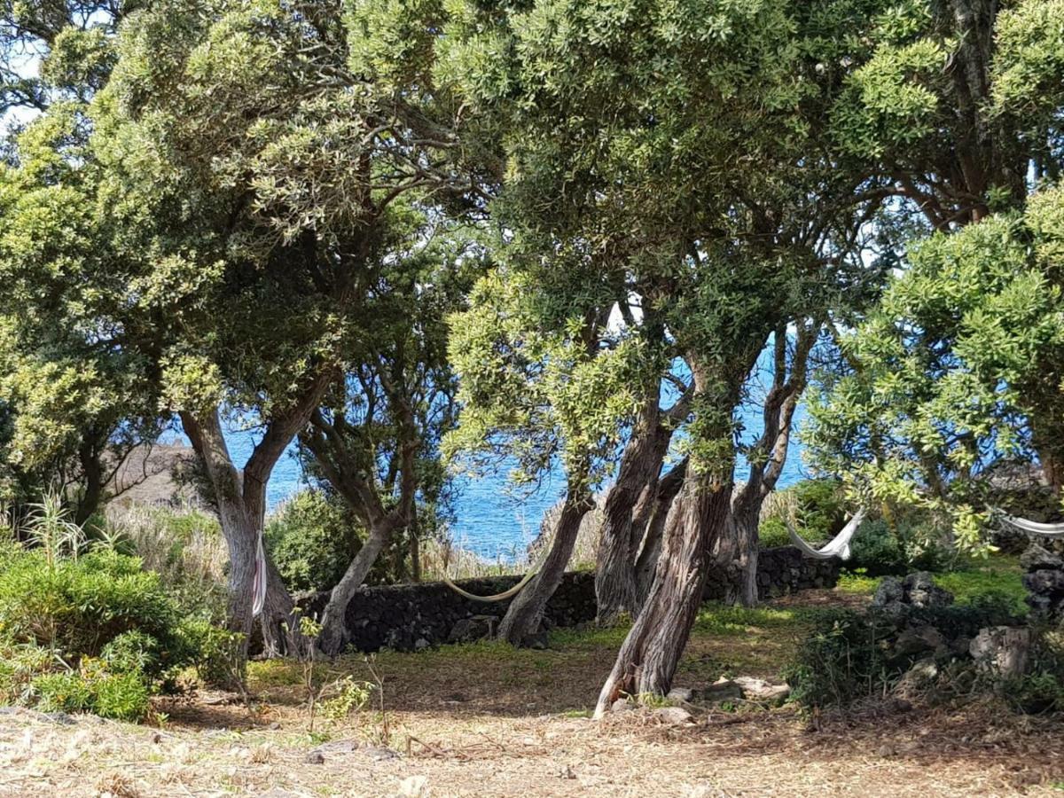 Quinta Da Falesia - Casa Amarela Ponta Delgada  Ngoại thất bức ảnh